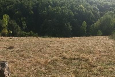 Teren de vanzare Coebeni-Turburea-Arges - 2