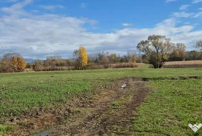 Teren de 2700 mp, în Chechiș - 1