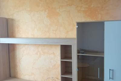 Apartament cu 2 camere semidecomandat, mobilat în Iancului - 9