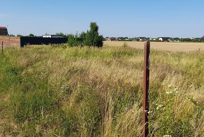 Teren în Ciorogârla - 1