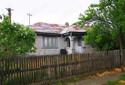 Casă cu 4 camere în Bordeasca Veche - 5