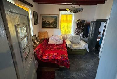 Casă cu 5 camere cu Teren 1422 Mp în Alexeni - 14