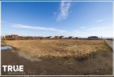 Teren Construcții intravilan de 1000 mp, în Nord - 15