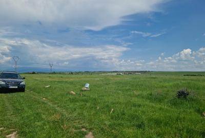 Teren de 7040 mp, în Preajba - 6