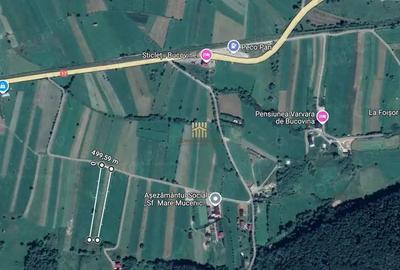 Teren 5886 mp In Bucovina - Bucsoaia! De Vanzare! 0727817187 - 3