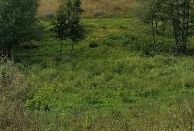 Teren de 8600 mp, în Central - 3