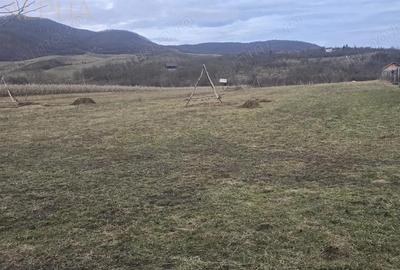 Teren de 3488 mp, în Șieu - 3