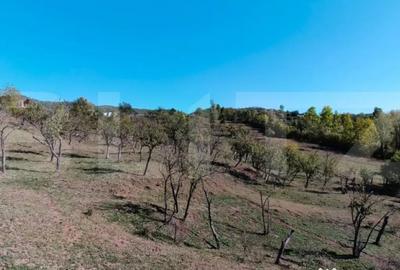 Teren de 7382 mp, în Central - 10