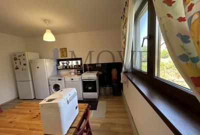 BELCIUGATELE- Casă de vacanță sau locuință permanentă - 32