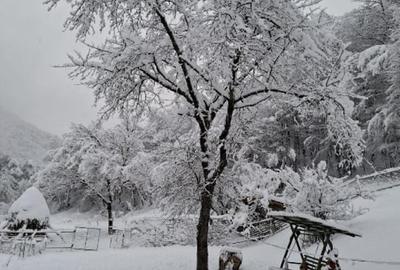 Casa, teren si padure de vanzare-40.000 mp, direct proprietar in Apuseni. - 8