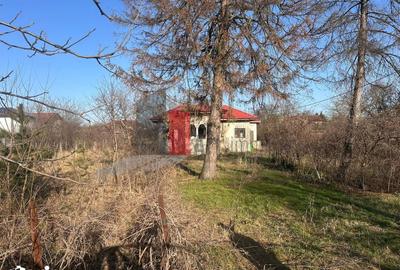 Casă cu 2 camere cu Teren 2600 Mp în Central - 5