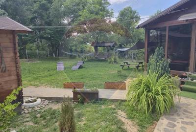 Casă cu 3 camere cu Teren 1268 Mp în Săpânța - 13