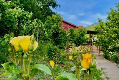 Teren intravilan 5660 mp - 3