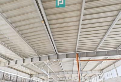 Hală cu teren intravilan de 3500 mp, în Sebiș Arad - 28