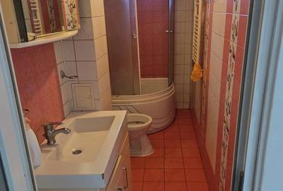 Apartament cu 2 camere decomandat în Ferentari - 10