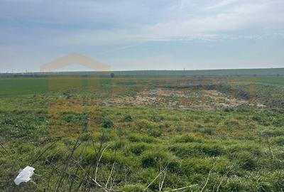 Teren Construcții intravilan de 10000 mp, în Valu lui Traian - 3