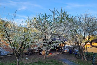 Casă cu 5 camere cu Teren 500 Mp în Central - 4