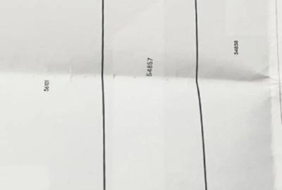 Teren de 1000 mp, în Răchiți