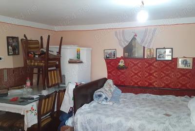 Vand urgent casa de vacanta o camera cu pod in Ghizdaru - 1