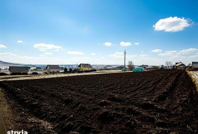 Teren de 991 mp, în Burdujeni