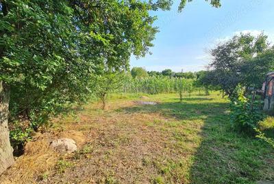 Casa si teren (79 km Bucuresti - 32 km Ploiesti - 17 km Targoviste) - 9