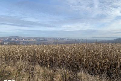 Teren de 7800 mp, în Vicovu de Sus - 3