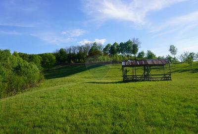 Teren Construcții intravilan de 15000 mp, în Sud-Vest - 12