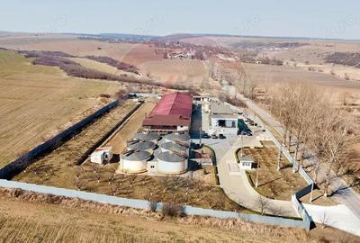 Crama din Buciumeni Afacere la cheie - 10