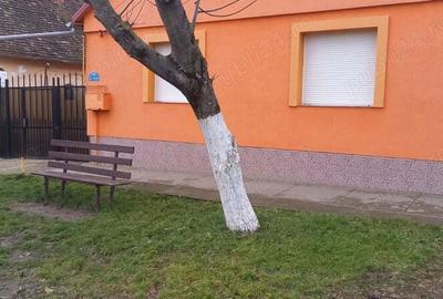 Vand casa in Giarmata Mare - 1