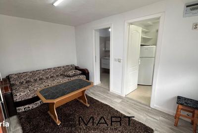 Garsonieră în Terezian - 4