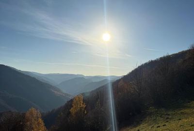 Spațiu comercial, în Plopi