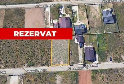 Teren Trivale - Aleea Bradului - Zona excelenta - 1