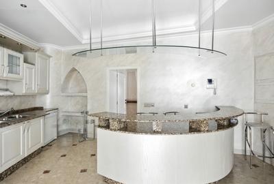 Vila cu arhitectura deosebita, adiacent Bd-ului Lascar Catargiu, RENOVATA - 9