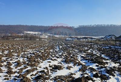 Teren Construcții intravilan de 2200 mp, în Periferie - 6