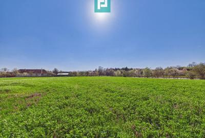 Teren Construcții intravilan de 3024 mp, în Almaș - 2