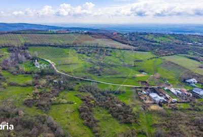 Teren de 33500 mp, în Bucov - 2