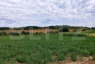 Teren de 27500 mp, în Răscruci - 1