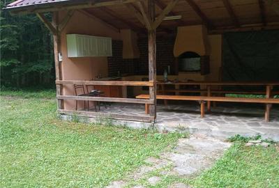 Casă cu 3 camere cu Teren 2000 Mp în Central - 1