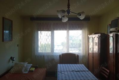 Apartament cu 2 camere semidecomandat în Lugoj - 7