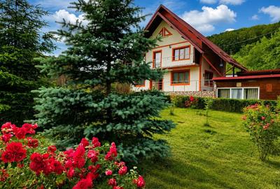 Casă cu 4 camere în Enculești - 2