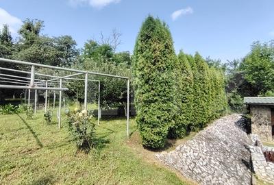 Casa cu mobilier premium si gradina spectaculoasa in Tarnaveni - 5