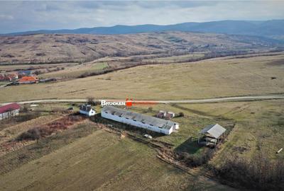 MICRO-FERMA CASA IN VOIVOZI - BIHOR - 5