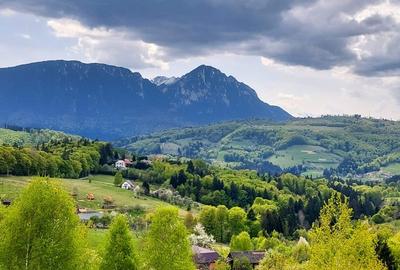 TEREN LA MUNTE - Puz aprobat/utilitati/imprejmuit - 1