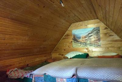 Casă cu 2 camere în Câmpu Cetății - 10