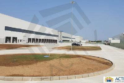 Spatii depozitare in WDP Park Dragomiresti Spatii depozitare in WDP Park Dragomiresti - 2