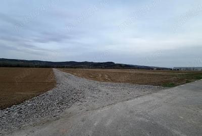 Teren de 1350 mp, în Tâmpa
