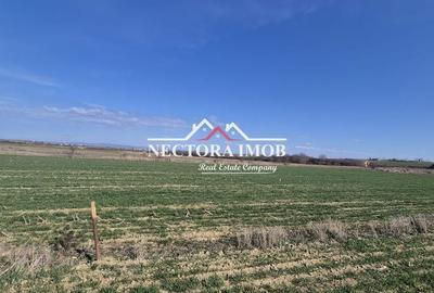 Spațiu comercial, în Central - 2