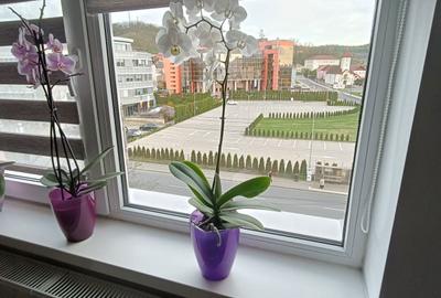 Apartament cu 3 camere decomandat în Central - 1