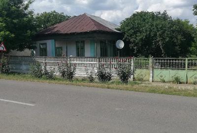 Casă cu Teren 3000 Mp în Râmnicelu - 2