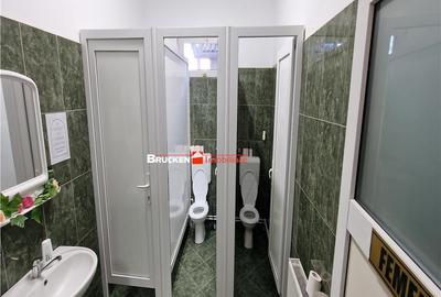 HALA INDUSTRIALA | GHENETEA - 9